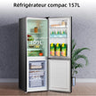 Réfrigérateur congélateur bas FBM157L42 157L (109+48), Largeur 47cm, Low frost, 39 db, Portes réversibles, 12 ans de garantie sur le compresseur