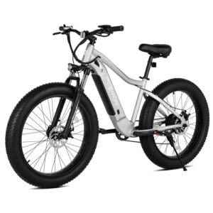 PEXMOR Electric Bike for Adults, 750W Ebike Electric Bicycle for Adults 48V 14AH Removable LG Battery