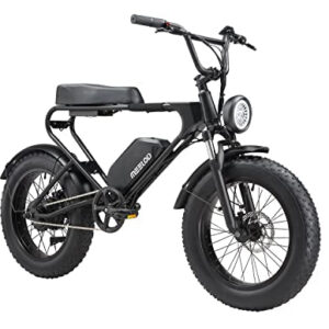 MEELOD Electric Bike Ebike with 750W Brushless Motor
