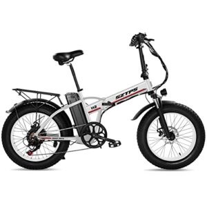 Electric Bike for Adults,750W Folding Electric Bike with 48V 13Ah Removable Battery