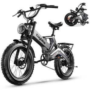 bluebiko K6F Electric Bike for Adults, 20 "x4.0 Fat Tire Electric Bicycle with 1000W Motor