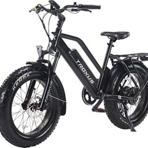TROXUS Electric Bike for Adults with 750W Motor