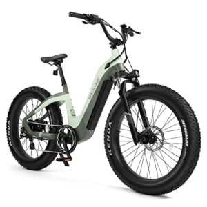 VELOWAVE Electric Bike for Adults 750W Bafang Motor,48V 20AH LG Cells Battery