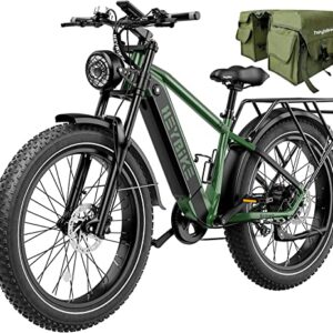 Heybike Brawn Electric Bike 48V 18Ah Removable Battery Ebike