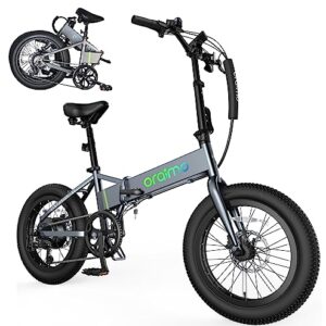 Oraimo 750W-1000W Electric Bike for Adults, 557Wh UL-Listed Hidden Battery Up to 45 Miles